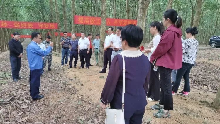 全国割胶冠军张健给各单元学员做尺度化胶园建设及割胶技术的经验介绍。.jpg